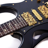 PIA3761-XB_[Paradise_in_Art_Steve_Vai_new_signature_model]_10