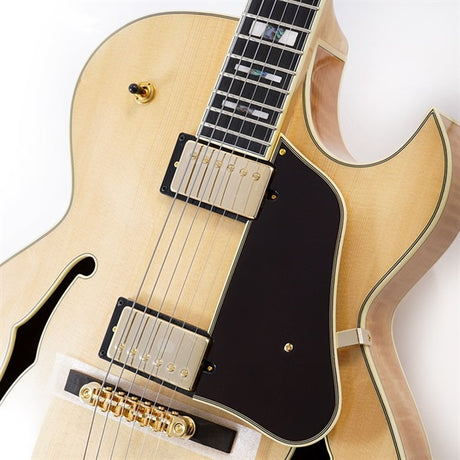 LGB30-NT_[George_Benson_Signature_Model]_[SPOT_MODEL]_04