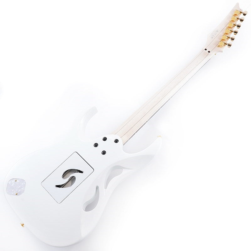 PIA3761-SLW_[Paradise_in_Steve_Vai_new_signature_model]_03