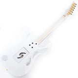 PIA3761-SLW_[Paradise_in_Steve_Vai_new_signature_model]_03