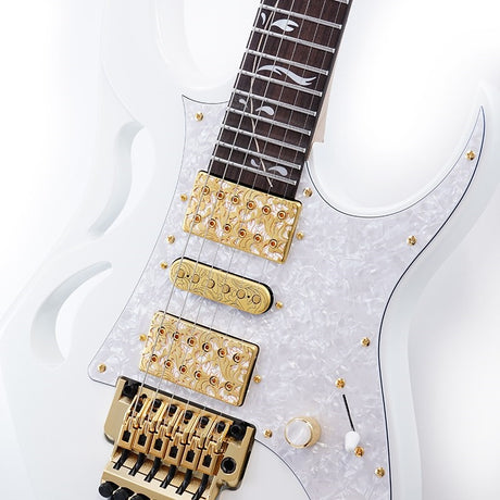 PIA3761-SLW_[Paradise_in_Steve_Vai_new_signature_model]_04