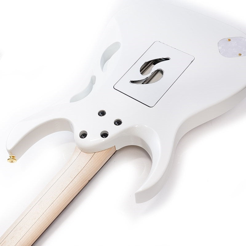 PIA3761-SLW_[Paradise_in_Steve_Vai_new_signature_model]_07