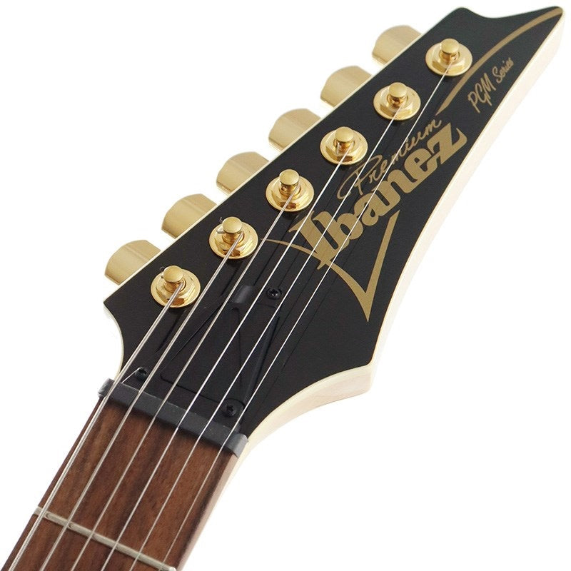 PGM50-BK_(Black)_[Paul_Gilbert_Model]_07