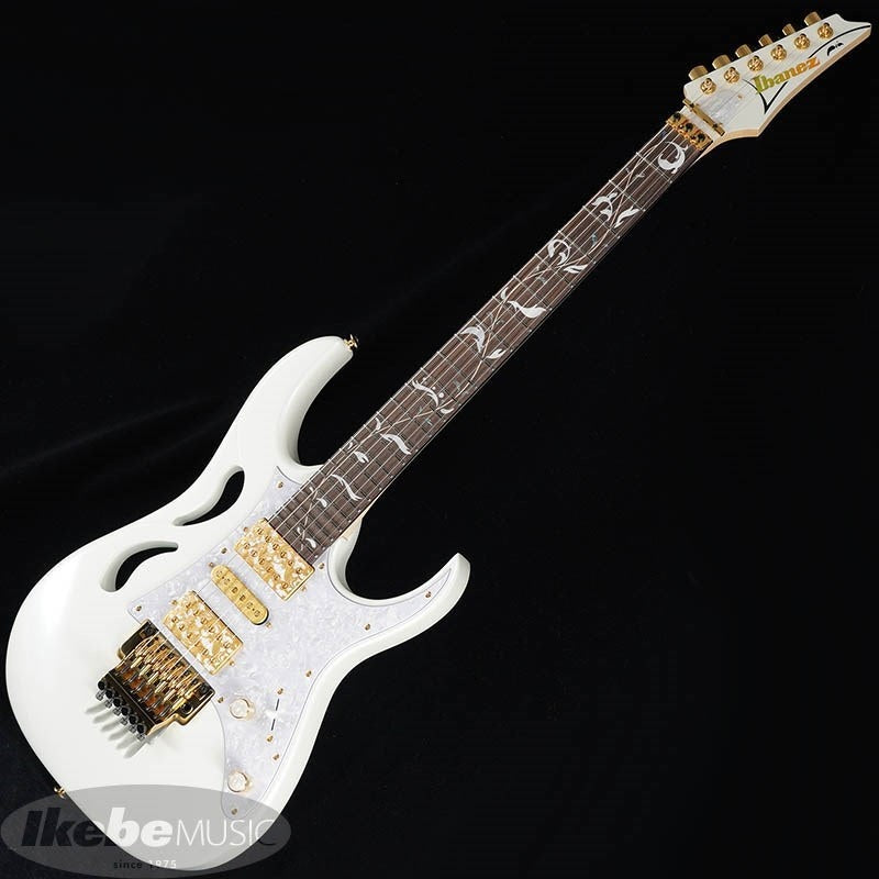 PIA3761-SLW_[Paradise_in_Art_Steve_Vai_new_signature_model]_02