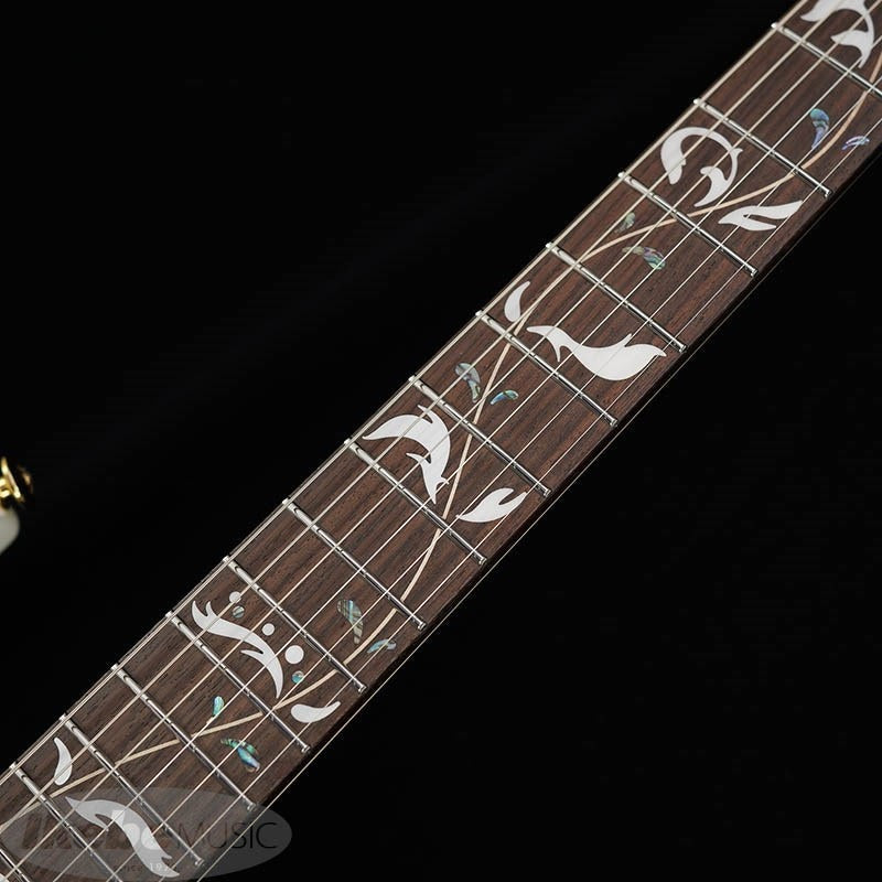 PIA3761-SLW_[Paradise_in_Art_Steve_Vai_new_signature_model]_06