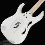 PIA3761-SLW_[Paradise_in_Art_Steve_Vai_new_signature_model]_08