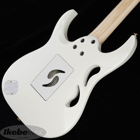 PIA3761-SLW_[Paradise_in_Art_Steve_Vai_new_signature_model]_08
