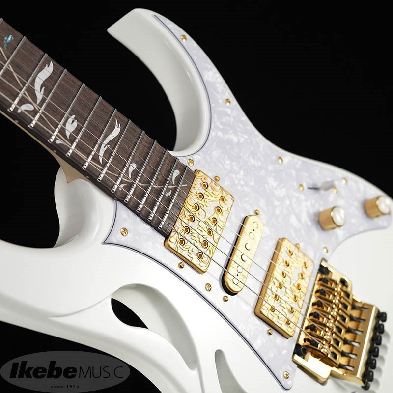 PIA3761-SLW_[Paradise_in_Art_Steve_Vai_new_signature_model]_09