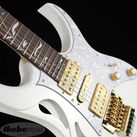 PIA3761-SLW_[Paradise_in_Art_Steve_Vai_new_signature_model]_09