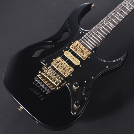 PIA3761-XB_[Paradise_in_Art_Steve_Vai_new_signature_model]_03