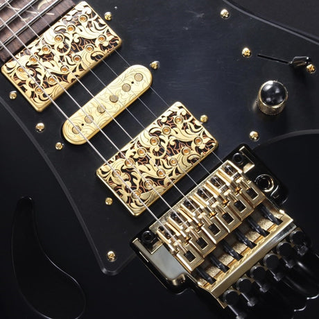 PIA3761-XB_[Paradise_in_Art_Steve_Vai_new_signature_model]_04