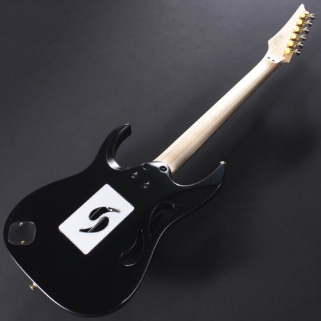 PIA3761-XB_[Paradise_in_Art_Steve_Vai_new_signature_model]_06