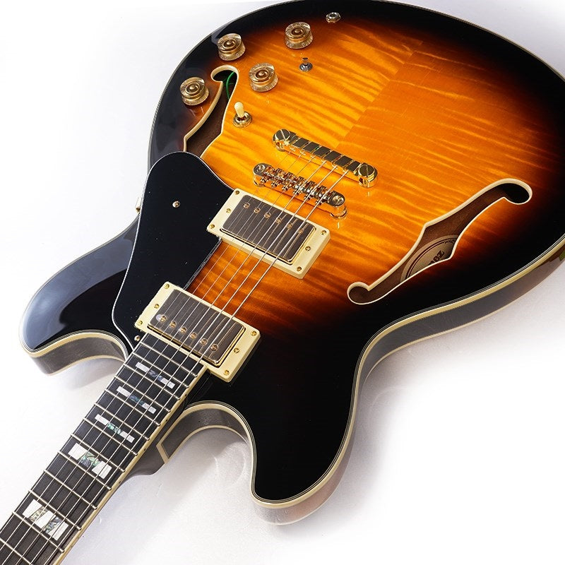 JSM10-VYS_[John_Scofield_Model]_06