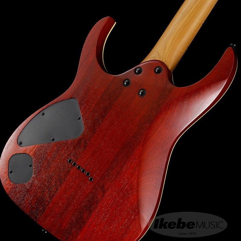 RG421HPAM-ABL_08
