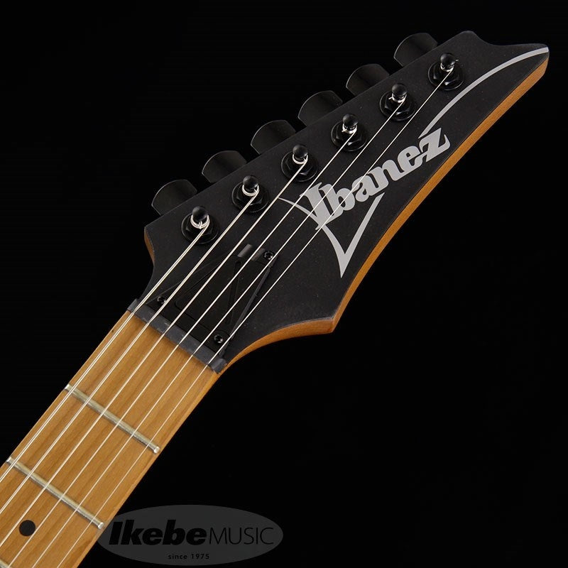 RG421HPAM-ABL_09