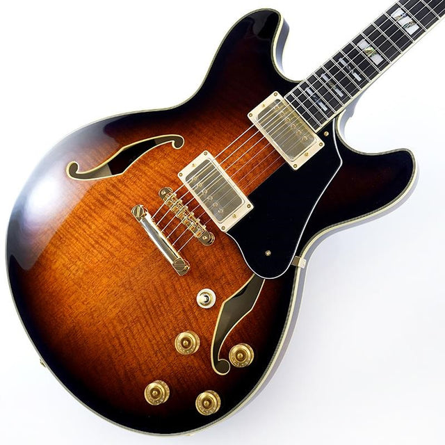 JSM100-VT_[John_Scofield_Signature_Model]_01