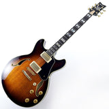 JSM100-VT_[John_Scofield_Signature_Model]_02