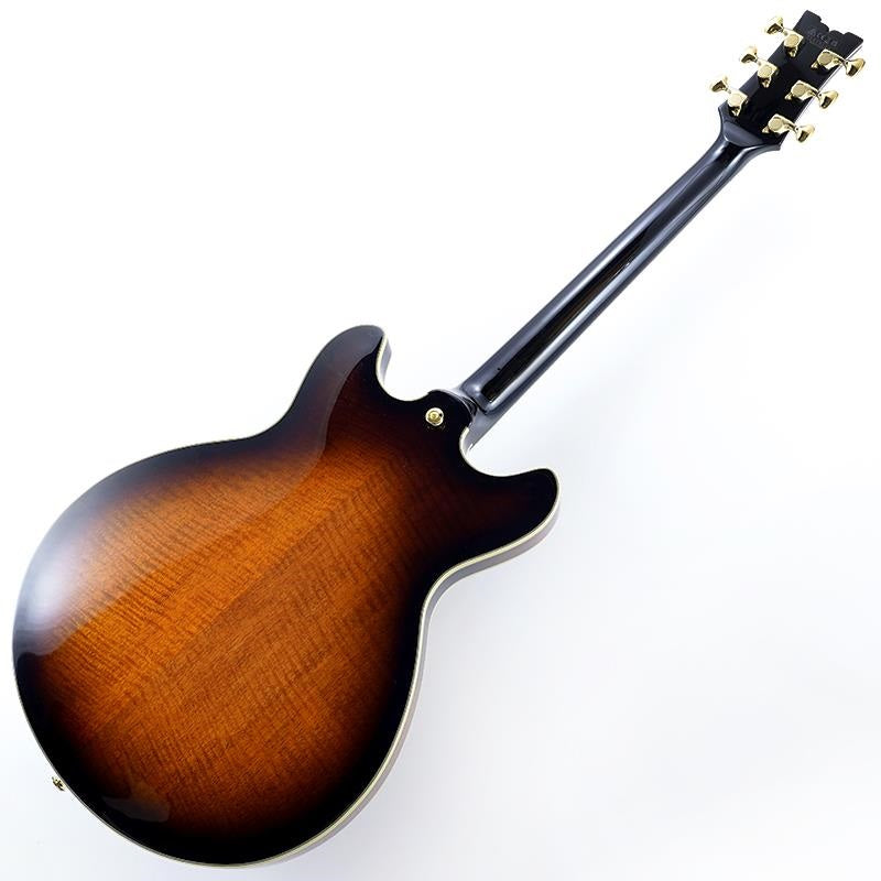 JSM100-VT_[John_Scofield_Signature_Model]_03