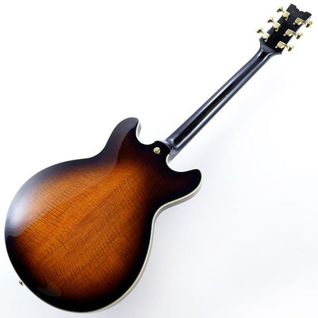 JSM100-VT_[John_Scofield_Signature_Model]_03