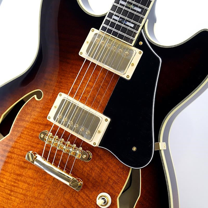 JSM100-VT_[John_Scofield_Signature_Model]_04