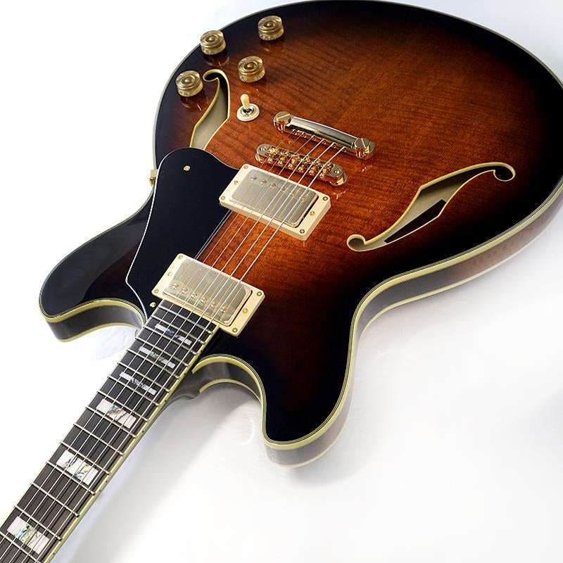 JSM100-VT_[John_Scofield_Signature_Model]_06