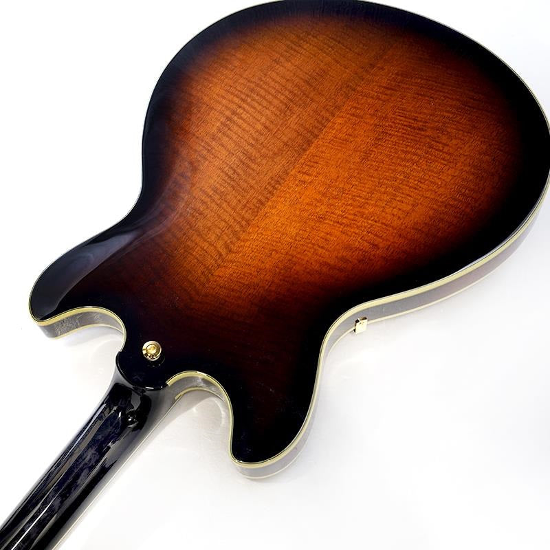 JSM100-VT_[John_Scofield_Signature_Model]_07