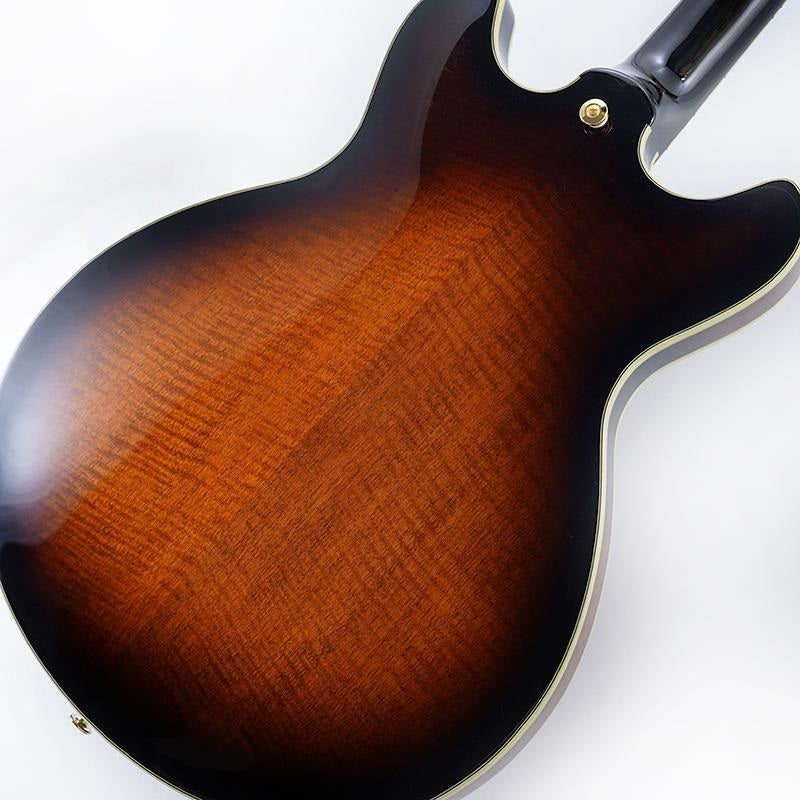 JSM100-VT_[John_Scofield_Signature_Model]_08