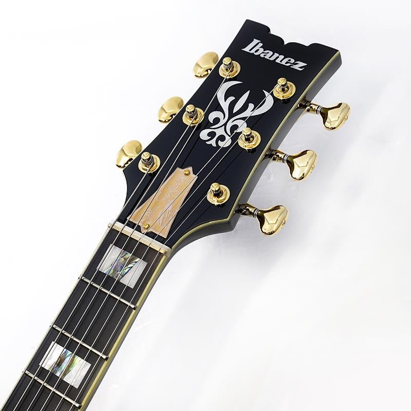 JSM100-VT_[John_Scofield_Signature_Model]_09