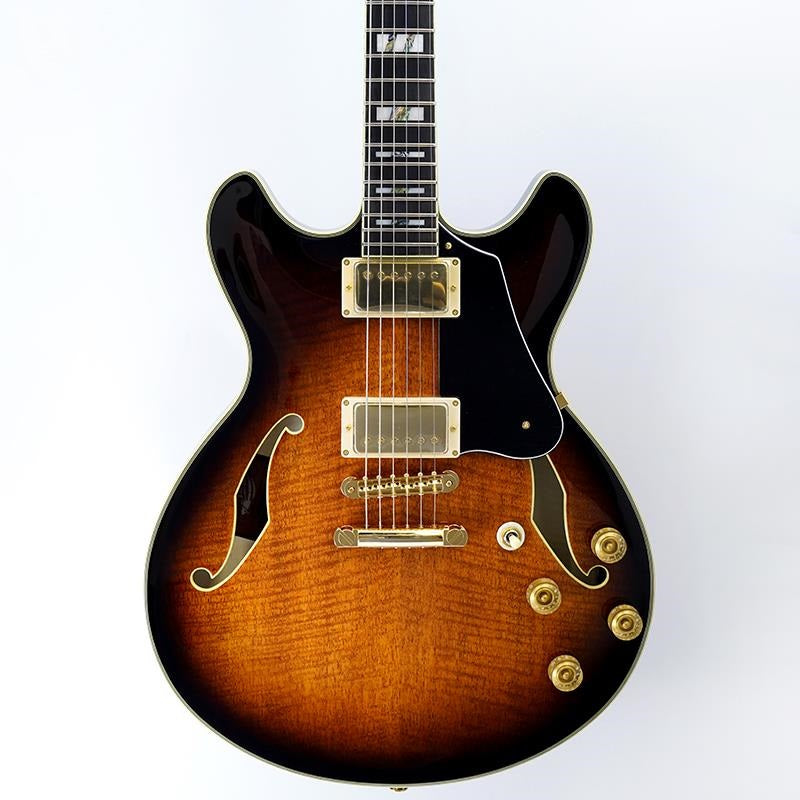 JSM100-VT_[John_Scofield_Signature_Model]_10