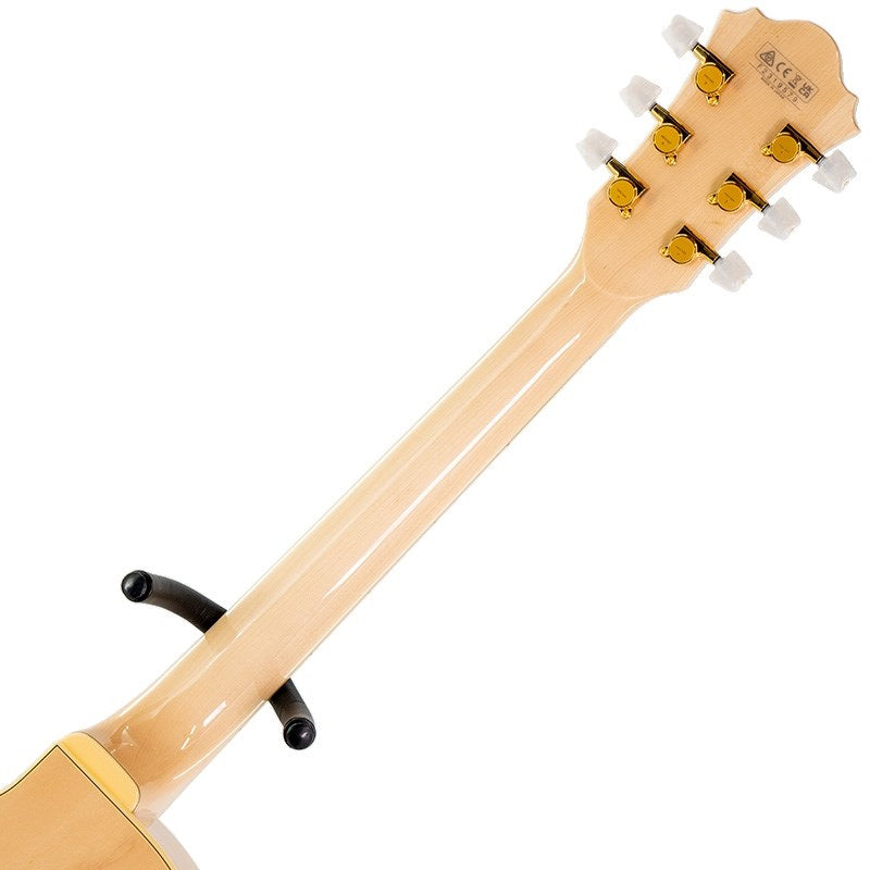 GB10-NT_[George_Benson_Model]_06