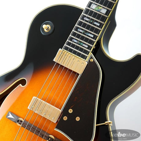 GB10-BS_[George_Benson_Model]_04
