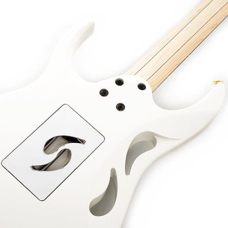 PIA3761-SLW_[Paradise_in_Steve_Vai_new_signature_model]_06