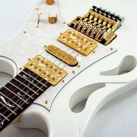 PIA3761-SLW_[Paradise_in_Steve_Vai_new_signature_model]_11