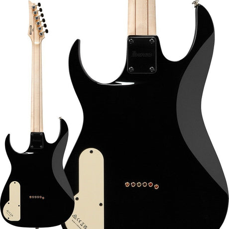PGM50-BK_[Paul_Gilbert_Signature_Model]_02