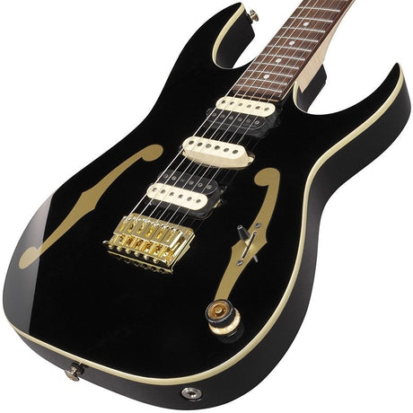 PGM50-BK_[Paul_Gilbert_Signature_Model]_03