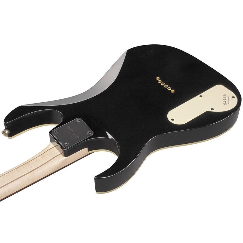 PGM50-BK_[Paul_Gilbert_Signature_Model]_04