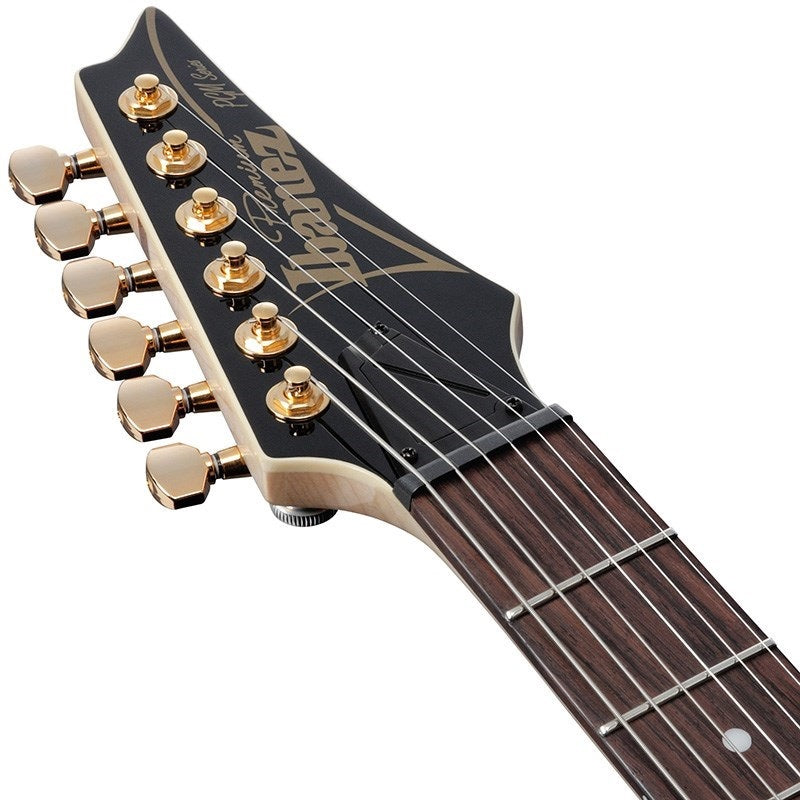 PGM50-BK_[Paul_Gilbert_Signature_Model]_05