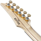 PGM50-BK_[Paul_Gilbert_Signature_Model]_06