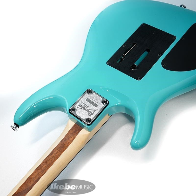 JS2410-SYB_[Joe_Satriani_Signature_Model]_【Special_Price】_07
