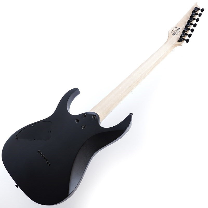 RG7421EX-BKF_(Black_Flat)_[SPOT_MODEL]_03