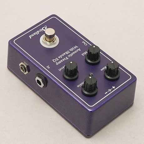 Birdland_Acoustic_Preamp_3-band_EQ_Birdland_04