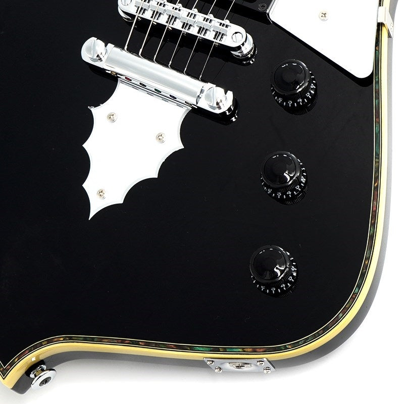 PS10-BK_[Paul_Stanley_Signature_Model]_05