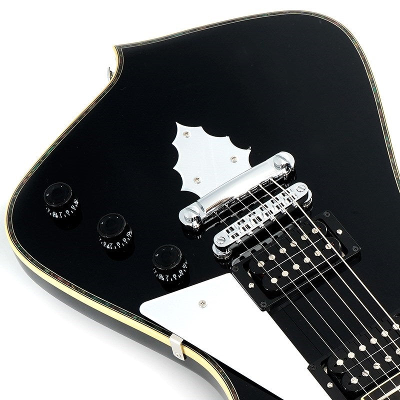 PS10-BK_[Paul_Stanley_Signature_Model]_08