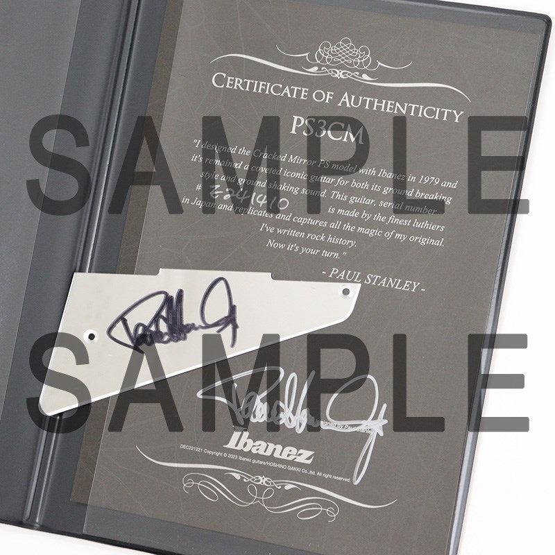 PS3CM_[SN_E241410]_【Paul_Stanley_Model】【Limited_Edition】_11