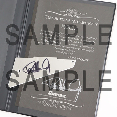 PS3CM_[SN_E241410]_【Paul_Stanley_Model】【Limited_Edition】_11