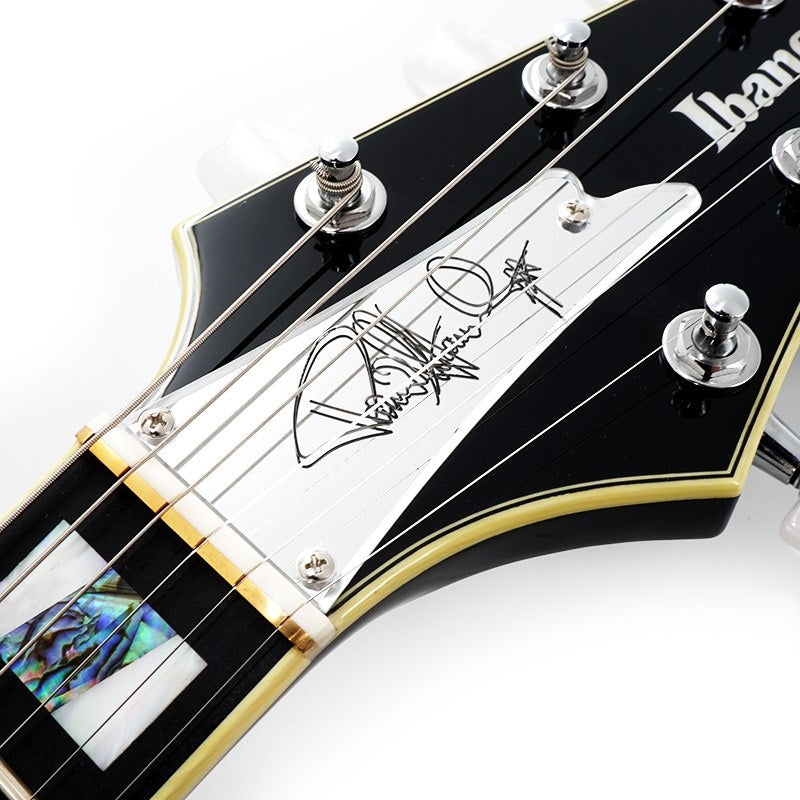 PS3CM_[Serial_Number_E241407]_[Paul_Stanley_Model]_[Limited_Edition]_09