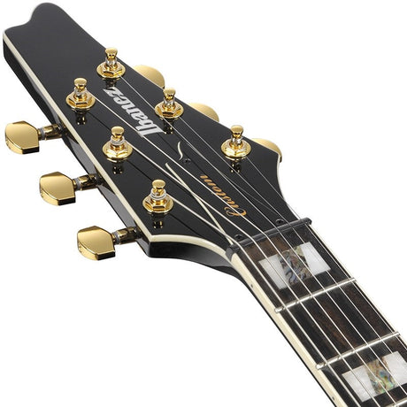 FRM350-BK_(Black)_[Paul_Gilbert_Model___SPOT_MODEL]_05