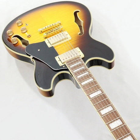 JSM10EM-TTB_(Two-tone_Burst)_[John_Scofield_Model___SPOT_MODEL]_05