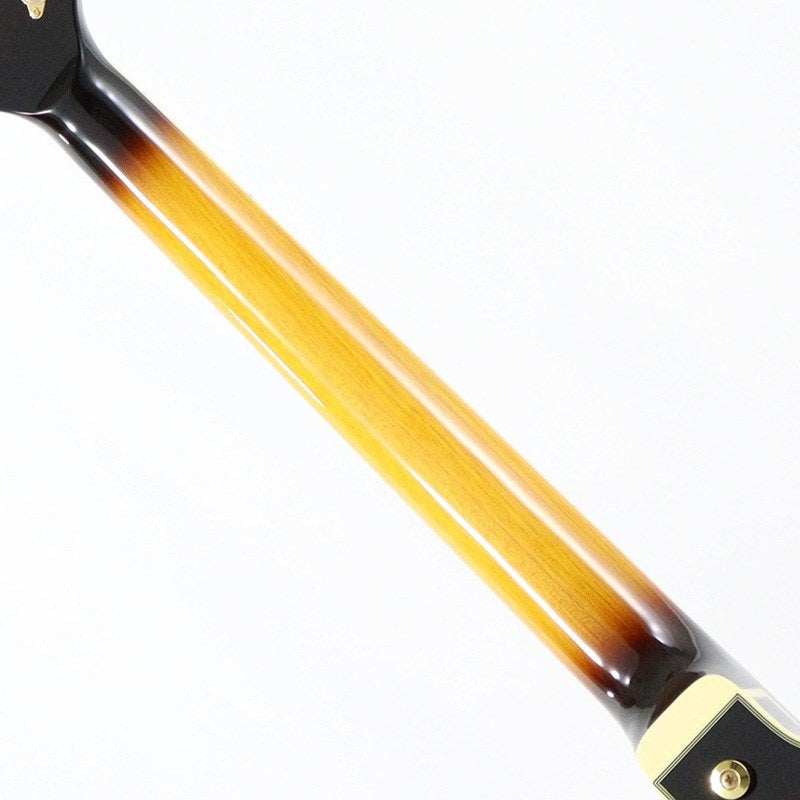 JSM10EM-TTB_(Two-tone_Burst)_[John_Scofield_Model___SPOT_MODEL]_07