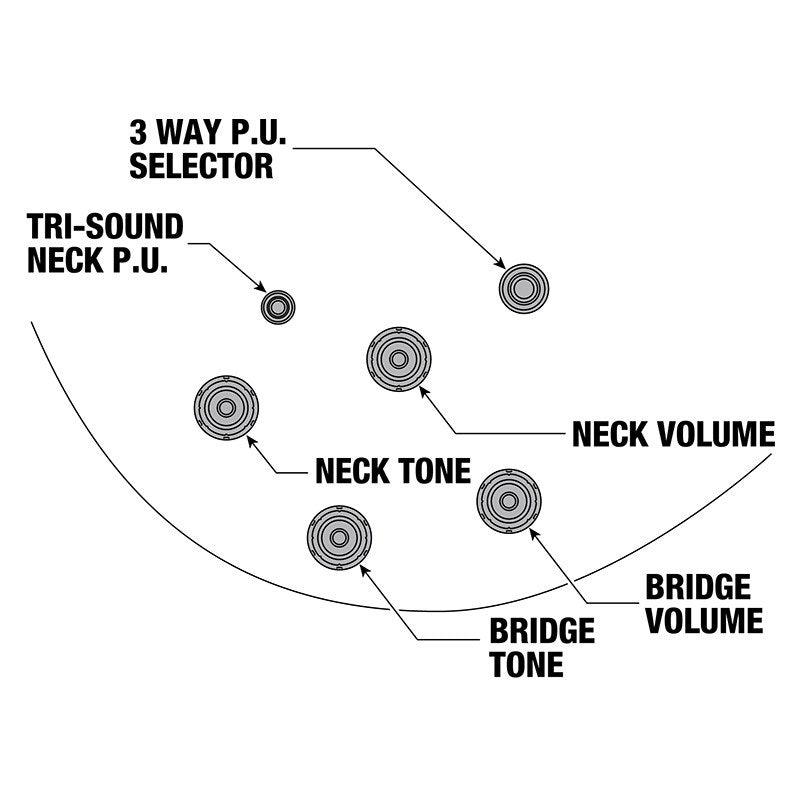 JSM10EM-TTB_(Two-tone_Burst)_[John_Scofield_Model___SPOT_MODEL]_11